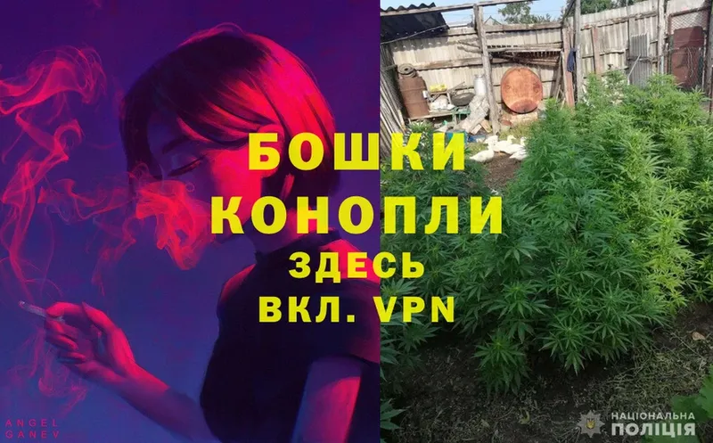 Конопля SATIVA & INDICA  наркота  Электросталь 